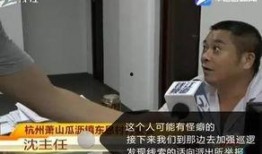 陈先生爆料完整视频大全,完整视频大全深度解析