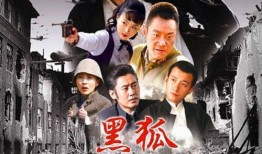 正义人士爆料视频大全最新,真相与正义的较量